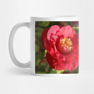 Camellia japonica Mug